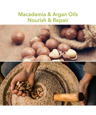Macadamia Natural Oil Rejuvenating Shampoo - 33.8 oz - Buy Online on SooperMarket.com