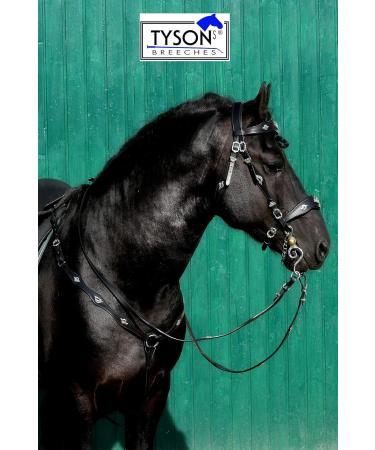 Jose Breastplate Show - Premium Portuguese & Spanish Black Brown for WB VB XF XXF Calfblood - International Shipping Available - Buy Online on SooperMarket.com