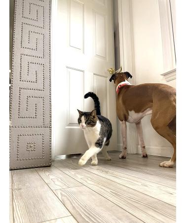 FlexLatch Cat Door Holder Latch - Bright White Alternative for Cats. Easy Install, Keeps Dogs Out. Baby Proof Design for Safety - Buy Online on SooperMarket.com