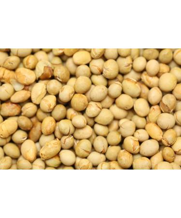 Yupik Unsalted Roasted Soya Beans 2.2 lb - High-Quality Snack Option - Buy Online on SooperMarket.com