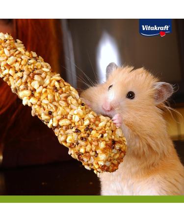 Vitakraft Crackers & Snack Sticks for Dwarf Rabbits | Vegetable & Beetroot Treats (2 pcs) - International Shipping Available - Buy Online on SooperMarket.com