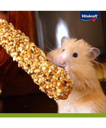 Vita Power Kr cker Mix for Dwarf Rabbits | Healthy Nibbles with Popcorn Honey Vegetables & Beetroot - No Sugar or Cereals (1x 3 Pieces) - Buy Online on SooperMarket.com