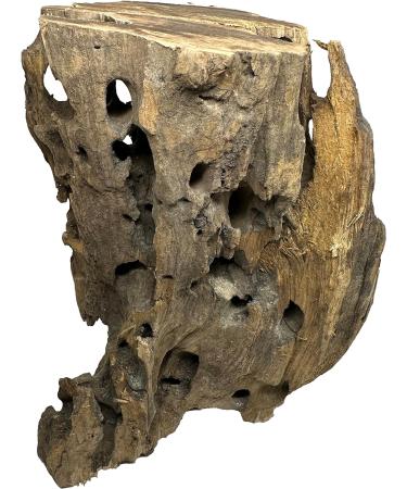 Awesome Aquatic Natural Medium Holey Driftwood 7 - 12 Nano Fish Aquarium Shrimp Tank Terrarium Reptile Branch & Log Habitat Wood Decoration Arts & Crafts Decor (Med Holey 7-12 inch) - Buy Online on SooperMarket.com