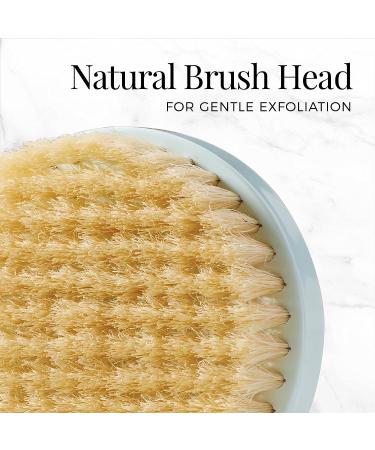 Remington Reveal Natural Brush Head - Gentle & Effective Skincare Tool - Buy Online on SooperMarket.com