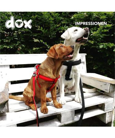 Ddoxx Adjustable Nylon Dog Harness - Step-In Outbreak-Proof for Small Medium & Large Dogs | Perfect Breast Harness for Puppies & Cats | Yellow XS (1.0 x 32-44 cm) - International Shipping Available - Buy Online on SooperMarket.com