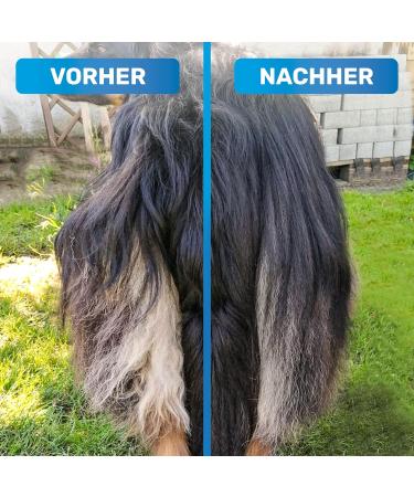 Bluepet Gloss Dance Fur Tubular De-Tunnel for Long-Haired Dogs & Cats - High-Quality Dual Row Pin Brush - Tangle-Free & Smooth Grooming (Pink) - Buy Online on SooperMarket.com