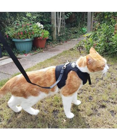 Outbreak-Proof Cat Dishes & Harnesses | Durable Cat Dish & Adjustable Harness for Cats & Small Dogs - Buy Online on SooperMarket.com
