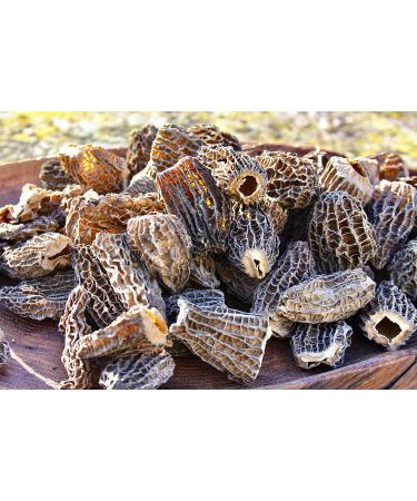 Morel Mushrooms Popular Choice CAPS (2-6 cm) - no Tails - Hand Picked Sun-Dried (30 gr) 30.0 grams - Buy Online on SooperMarket.com