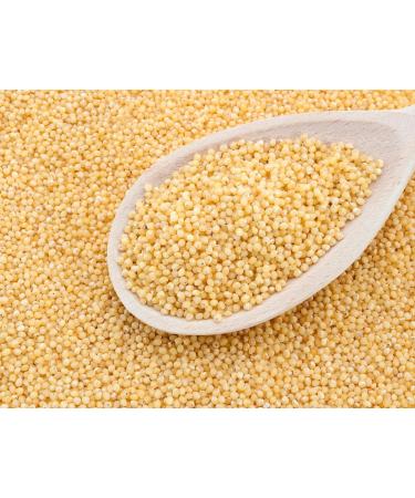 Organic Millet Grain 500g by Hatton Hill Organic - Free UK Delivery | Pack of 1 - Buy Online on SooperMarket.com
