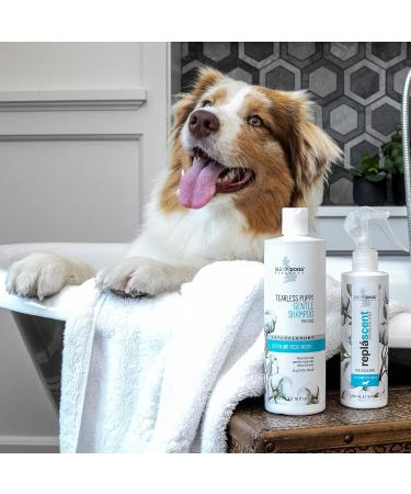Isle of Dogs Tearless Puppy Shampoo 16 oz - Gentle Formula for Sensitive Pups - Buy Online on SooperMarket.com