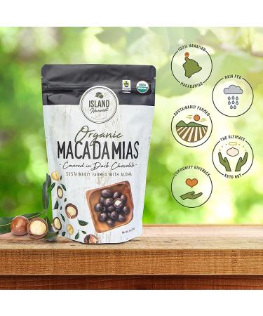 Organic Dark Chocolate Covered Macadamia Nuts - Island Harvest, Hawaiian Grown, All-Natural Keto Snack, Non-GMO, High Fiber - 2 Pack (9 oz) - Buy Online on SooperMarket.com