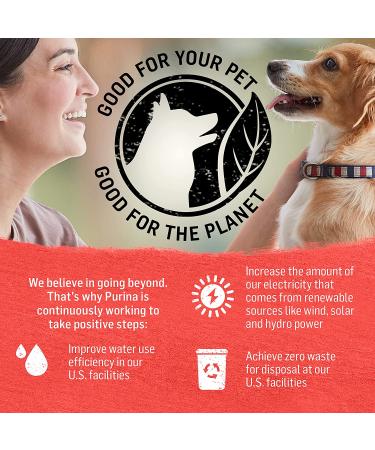 Purina Beyond Grain-Free Natural Beef & Green Bean Wet Dog Food - (12) 13 oz. Cans - Buy Online on SooperMarket.com
