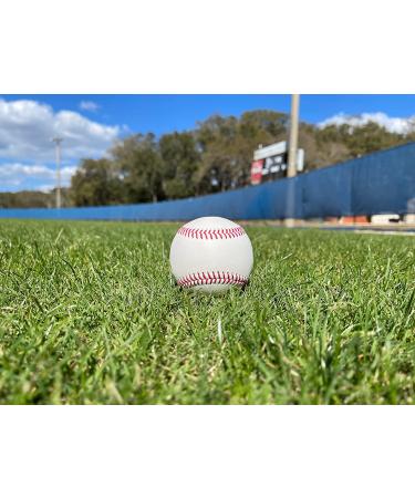 Blank Leather Baseball for Autographs, Crafts & Souvenirs | Regulation Size & Weight, Quality Stitching - Perfect for Custom Gifts & Youth Play - Buy Online on SooperMarket.com