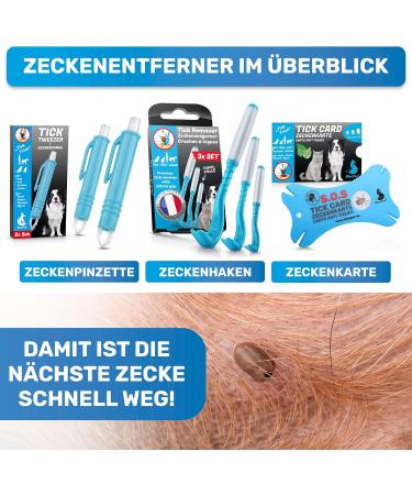 Bluepet 2x Tick Card with Magnifying Glass - Effective Tick Remover for Humans & Pets - First Aid Solution for Dogs & Cats - Buy Online on SooperMarket.com