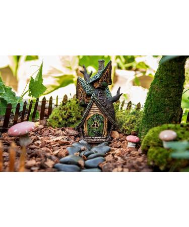 SuperMoss Fairy Garden Kit - 4 oz Mixed Mosses (50310) - Buy Online on SooperMarket.com