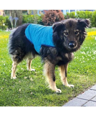 Nobby Dog Cooling Jacket - Ultralight Water-Absorbent EVA Fabric - Size-Specific - Ideal for Hot Weather - Buy Online on SooperMarket.com
