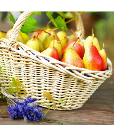 Balsamic Pear and Lavender Vinegar 200ml - 3* Great Taste Award Winner - Buy Online on SooperMarket.com
