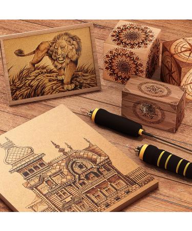 60W Wood Burning Kit with 24 Tips, Dual Pen Pyrography Tool for Teen Artists - Perfect Gift for Creative Teens | Black Grey - Buy Online on SooperMarket.com