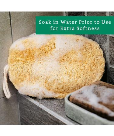 4 Pack 100% Natural Loofah Exfoliating Sponges - Organic Bath Scrubber Set - Buy Online on SooperMarket.com