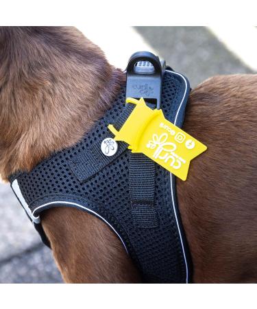 Curli D-Ring Buckle Vest Harness Mandarin XS - Premium International Shipping for Your Pet - Buy Online on SooperMarket.com