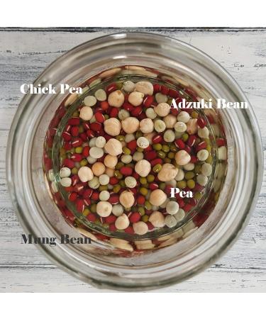 VERDANT REPUBLIC Organic Protein Power Sprouting Seeds Mix 500g | Non GMO Superfood Microgreens | Easy to Sprout with Peas Chick Pea Mung & Adzuki Beans - Buy Online on SooperMarket.com