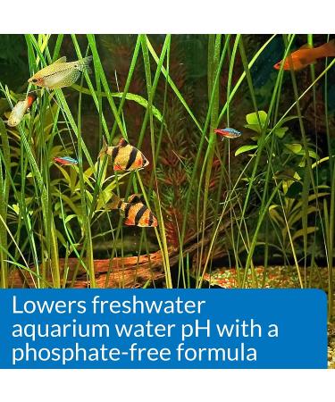 API pH DOWN Freshwater Aquarium Water pH Reducing Solution 118 ml Bottle pH DOWN Single - Buy Online on SooperMarket.com