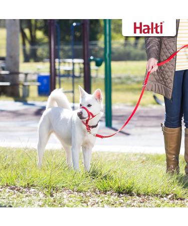 HALTI Double Guide - Multifunctional Dog Leash for Training & Walking | Light Padded Neoprene | Ideal for Puppies (Small Red 2m) - Buy Online on SooperMarket.com