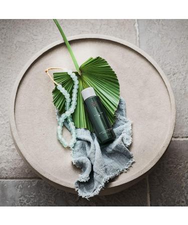 RITUALS Bubble Bath - The Ritual of Jing 500ml | Soothing Relaxation with Sacred Lotus Jujube & Chinese Mint - Shop Internationally - Buy Online on SooperMarket.com