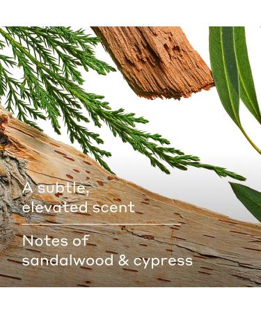 Harry's Extra-Strength Antiperspirant Deodorant for Men Variety Pack - Stone Redwood Wildlands (3 Count) Antiperspirant Variety Pack - Buy Online on SooperMarket.com
