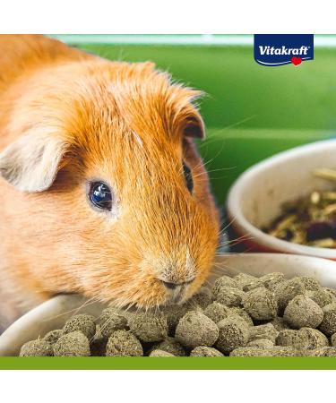 Vita Power Vita Special Junior Feed for Young Dwarf Rabbits - 600g | Herbal & Grass Blend for Optimal Digestion No Sugar or Grains - Buy Online on SooperMarket.com