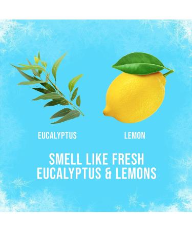 Axe Ice Chill Deodorant Body Spray - Frozen Lemon & Eucalyptus - 4 OZ (113g) - Pack of 3 Cans - Buy Online on SooperMarket.com