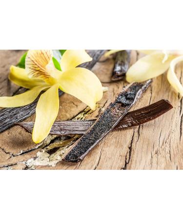 Vanilla Beans - Grade B Pods for Baking, Brewing, Cooking - (Tahitian) 10 Count - Buy Online on SooperMarket.com
