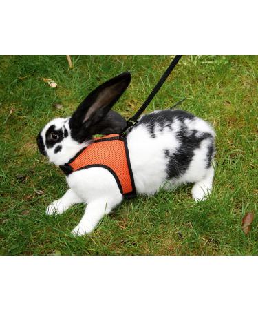 Shop Kerbl Rabbit Harness with Flexible Leash - Adjustable 22-26 cm Neck & 33-43 cm Belly | International Shipping Available - Buy Online on SooperMarket.com
