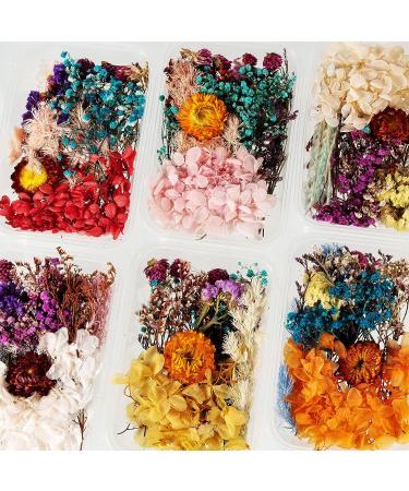 Pressed Dried Flowers Kit with Tweezers - Colorful Real Dried Flowers for Resin Jewelry DIY - Buy Online on SooperMarket.com