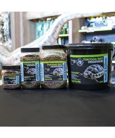 Komodo Complete Holistic Tortoise Diet Fruit and Flower 340 g (Pack of 2) - Buy Online on SooperMarket.com