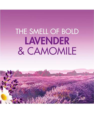 Bold All-in-1 PODS Washing Liquid Laundry Detergent Capsules 33 Washes Lavender & Camomile For Brilliant Clean With Built-In Fabric Softener Lavender 33 count (Pack of 1) - Buy Online on SooperMarket.com