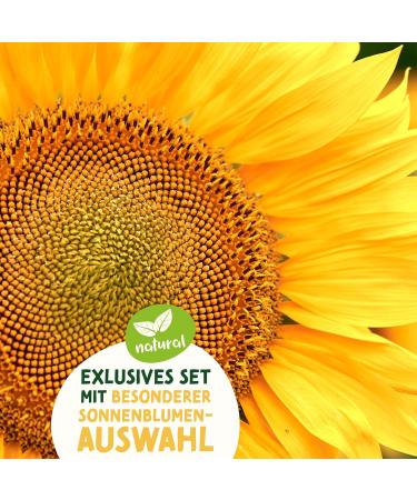 valeaf Sunflower Starter Kit (Sunflowers) - Buy Online on SooperMarket.com