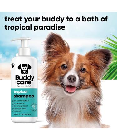 Tropical Dog Shampoo by BuddyCare - Deep Cleaning Aloe Vera & Pro-Vitamin B5 Refreshing Fragrance (500ml X3) - International Shipping - Buy Online on SooperMarket.com
