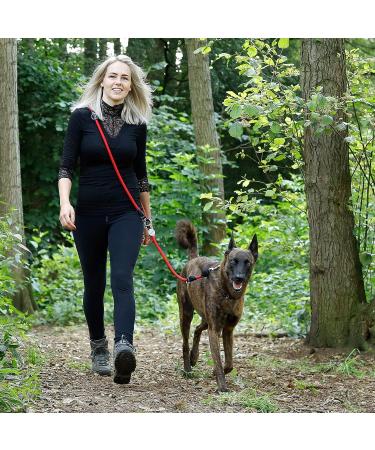 Buy Lionto Adjustable Dog Leash - Multifunctional Weatherproof 200 cm Red | Perfect for Medium Dogs - Shop Internationally! - Buy Online on SooperMarket.com