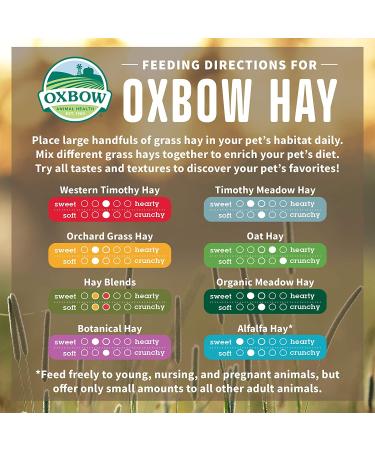 Oxbow Orchard Grass Hay - All Natural Hay for Chinchillas, Rabbits, Guinea Pigs & More - Buy Online on SooperMarket.com