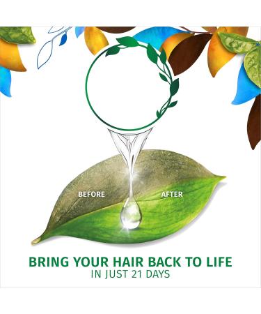 Herbal Essences Biorenew Coconut Milk Hydrate Shampoo 13.5 FL OZ - Nourishing Moisture for Dry Hair - Buy Internationally - Buy Online on SooperMarket.com