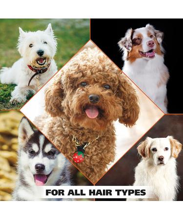 Wahl 4-in-1 Calming Pet Shampoo 64 Oz - Lavender Chamomile, Cleans, Conditions, Detangles, Moisturizes - Buy Online on SooperMarket.com