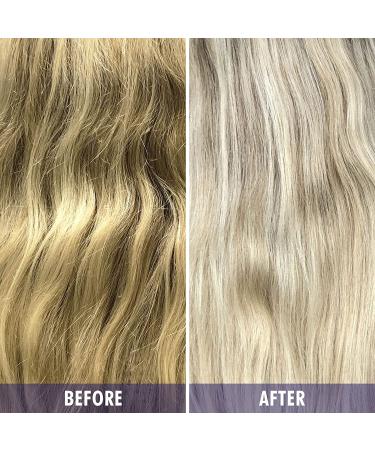 Framesi Color Lover Dynamic Blonde Purple Shampoo - Sulfate Free for Color Treated Hair, 16.9 Fl Oz - Buy Online on SooperMarket.com