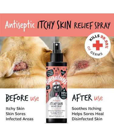 BUGALUGS itchy dog skin relief Antiseptic spray for dogs puppy cats & pets - Dog grooming Antibacterial Antifungal for dog itchy skin relief- use with our dog shampoo sensitive skin 200ml Spray - Buy Online on SooperMarket.com