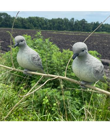 HQ Outfitters Dove Decoy 4 Pack - Realistic Hunting Decoys - Buy Online on SooperMarket.com