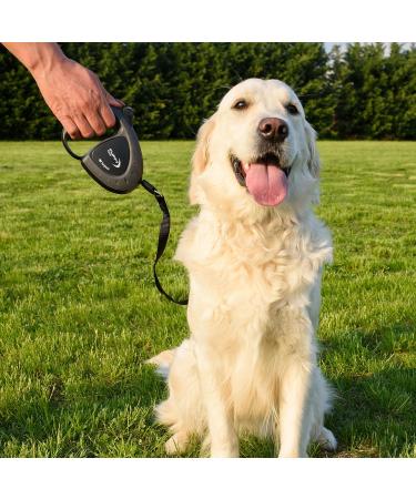 Ferplast Flippy Tech Dog Leash for Medium Dogs Up to 25kg - 3m Extendable Roller Line with Locking Button - Black - Buy Online on SooperMarket.com