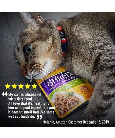 Wellness Grain-Free Wet Cat Food Pouches - Chicken & Turkey, Shredded Protein in Gravy, 24-Pack - Natural, Adult, 3 oz - Buy Online on SooperMarket.com