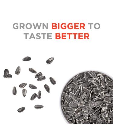 JUMBO SUNFLOWER SEEDS Ranch 16oz - Pack of 6 | Crunchy Snack - Buy Online on SooperMarket.com