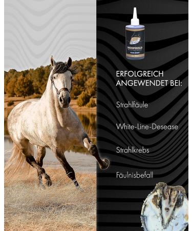 HOOFGOLD BlueStuff - 100ml Hoof Care for Horses | Quick Thrush Remedy | International Shipping - Buy Online on SooperMarket.com