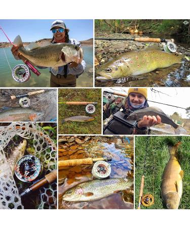 M MAXIMUMCATCH ECO Large Arbor Fly Fishing Reel Combo - Rainbow Trout Reel Loaded with Moss Green Line 3/4wt - Buy Online on SooperMarket.com